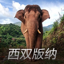 2025年度电影总票房破250亿《哪吒2》年度票房占比超60%
